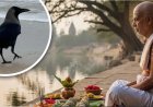 आखिर क्यों पितृ पक्ष को मानते हैं अशुभ, जब हमारे ही हैं तो क्यों करेंगे अमंगल?
